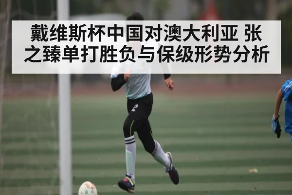 戴维斯杯中国对澳大利亚 张之臻单打胜负与保级形势分析 | c7